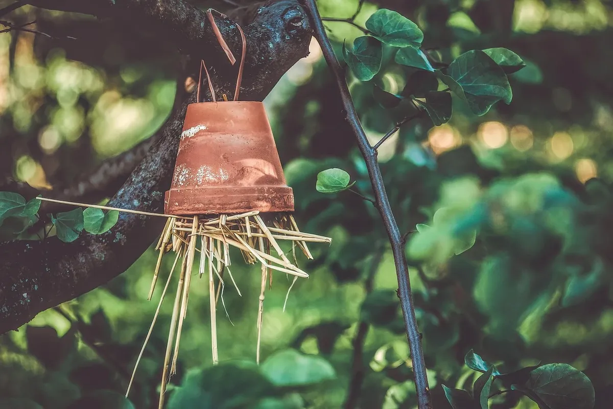 Welche Materialien eignen sich am besten für den Bau eines Insektenhotels