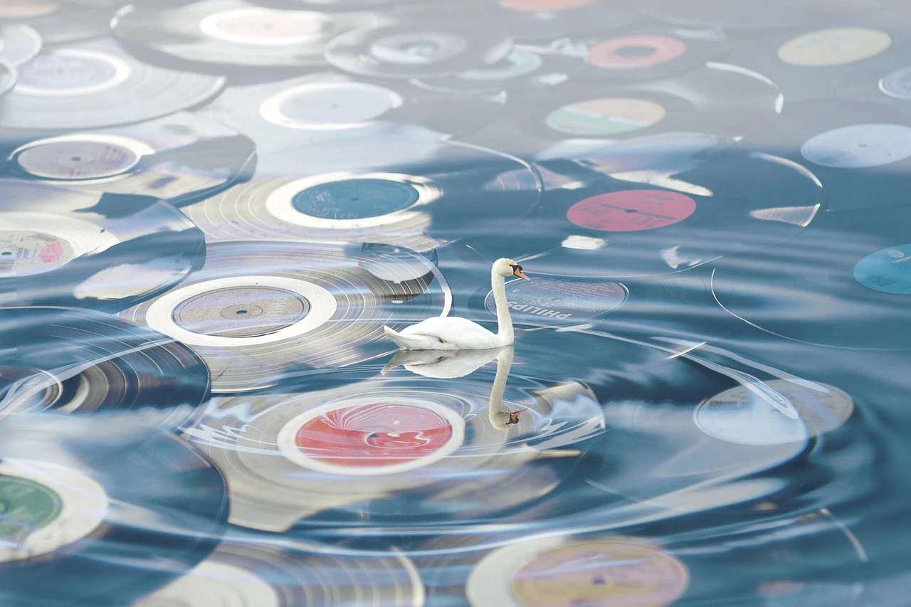 Wie kann ich meine Vinyl-Schallplatten richtig reinigen und pflegen?