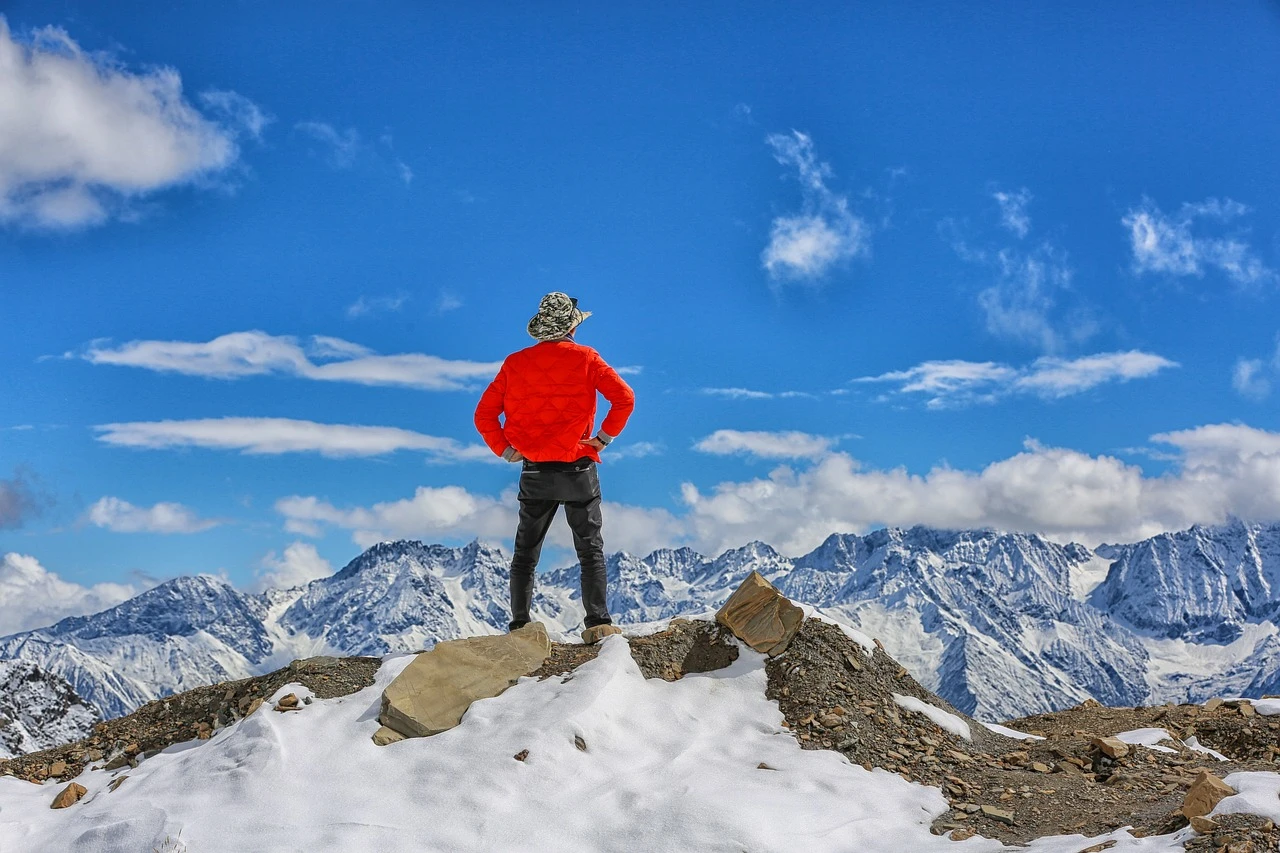 Welche Pflege benötigen Alpenveilchen im Winter?
