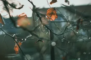 Warum bleibt der Geschirrspüler nach dem Spülen feucht?