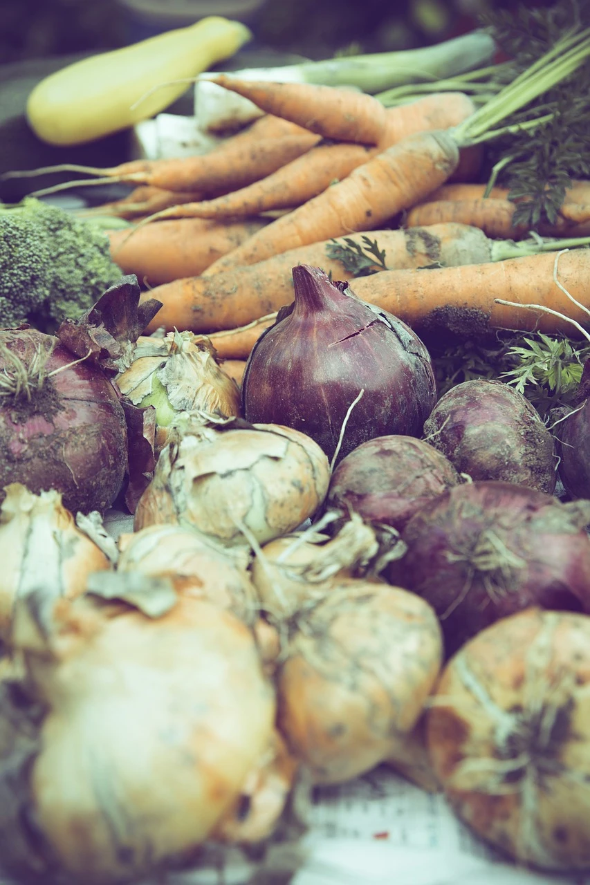 Wie kann ich ein Hochbeet aus alten Paletten bauen?