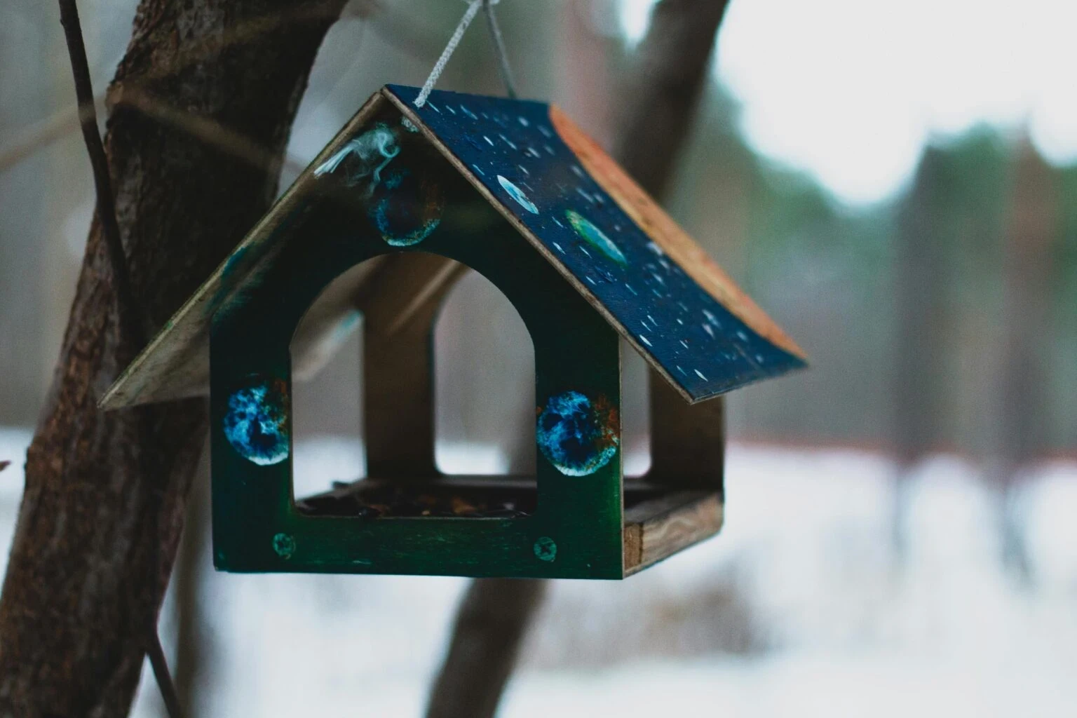Wie baue und befestige ich ein Vogelhaus richtig?