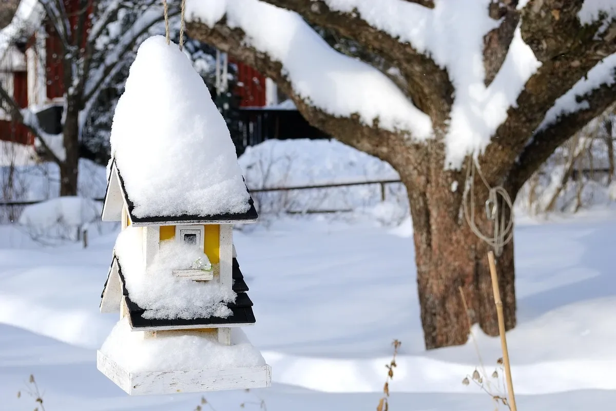 Wie kann ich ein Vogelhaus richtig bauen und befestigen
