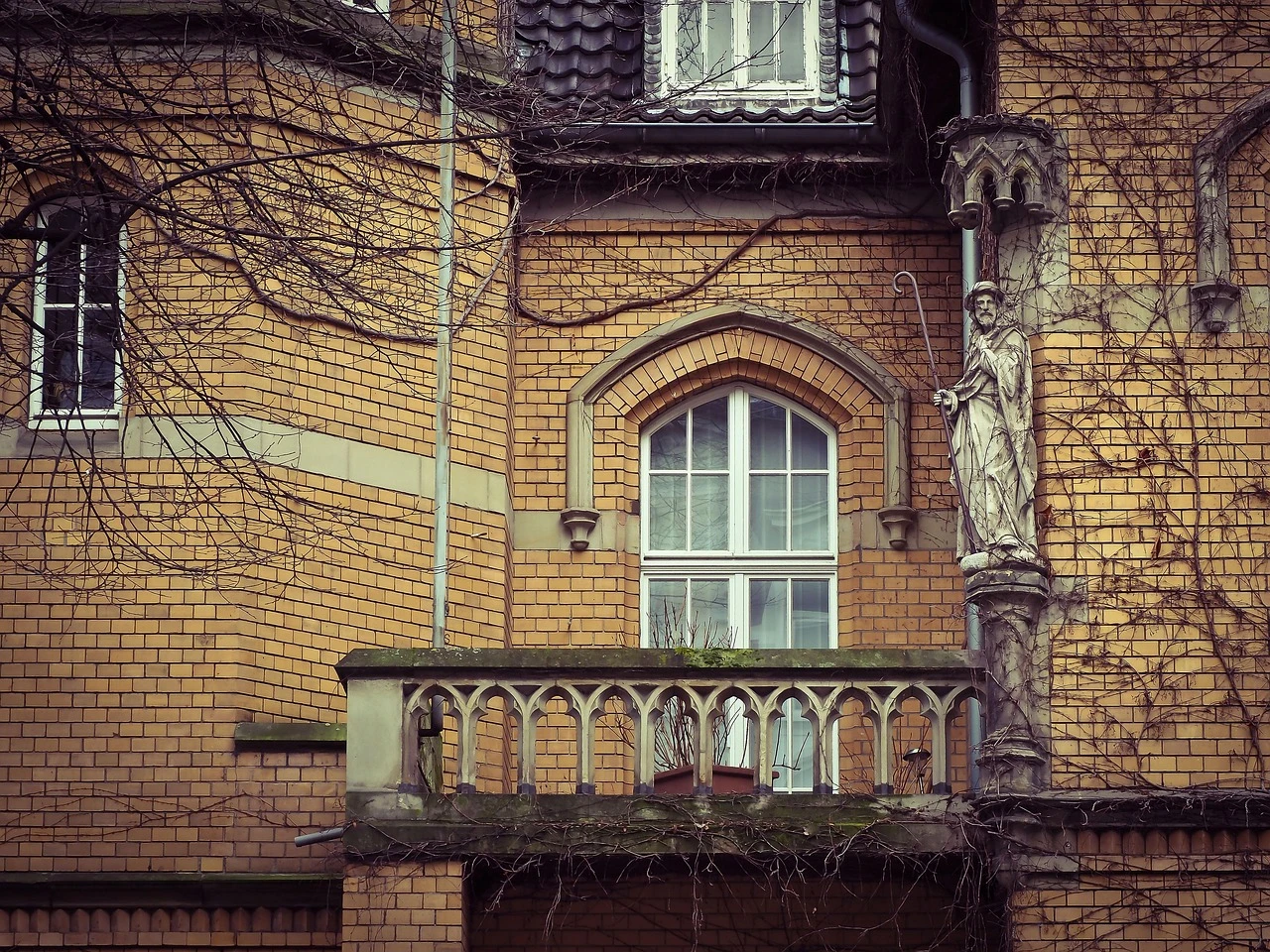 Welche Pflanzen eignen sich für einen Sichtschutz auf dem Balkon?