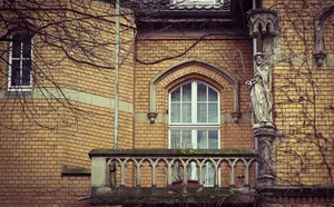 Welche Pflanzen eignen sich für einen Sichtschutz auf dem Balkon?