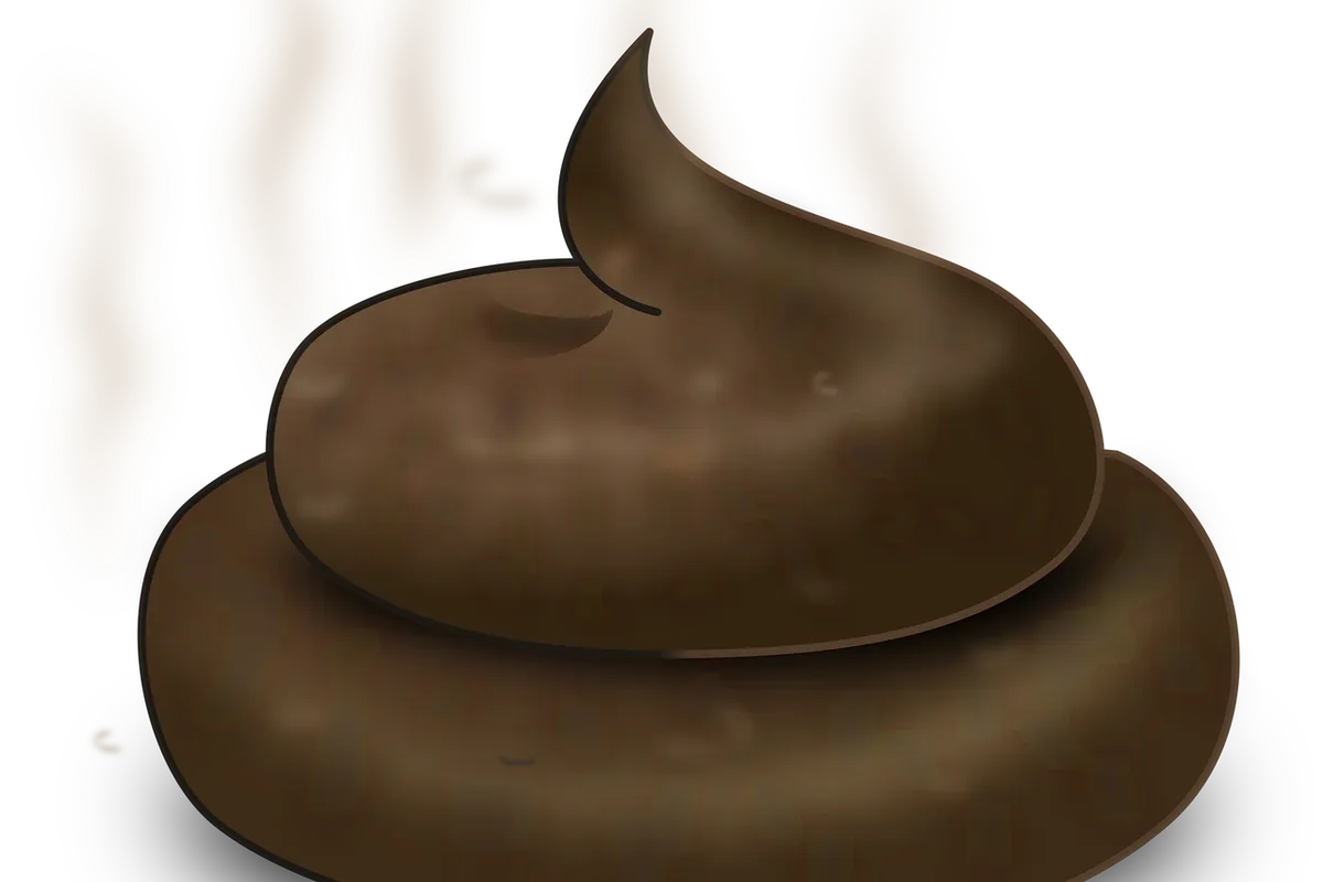 Warum riecht meine Waschmaschine übel