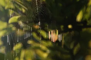 Wie kann ich eine DIY-Gartenlaube bauen