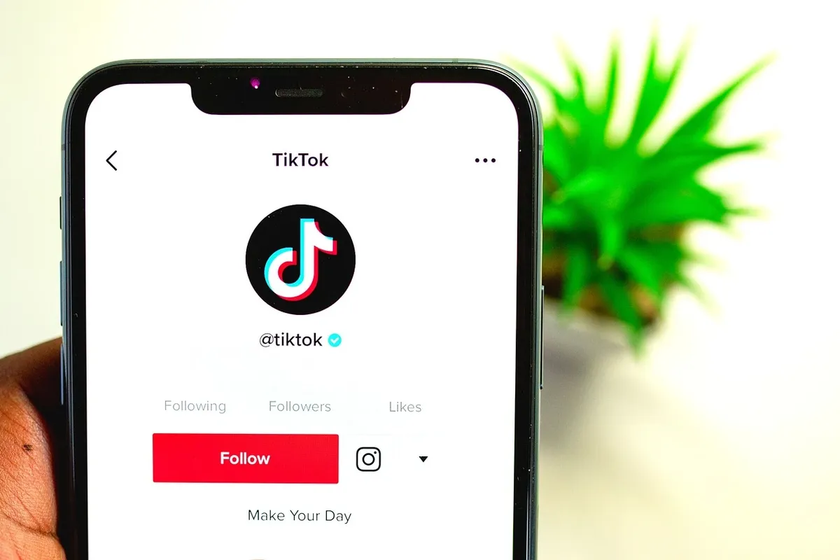 TikTok Sound Downloader - wie kann man Tiktok Sounds herunterladen